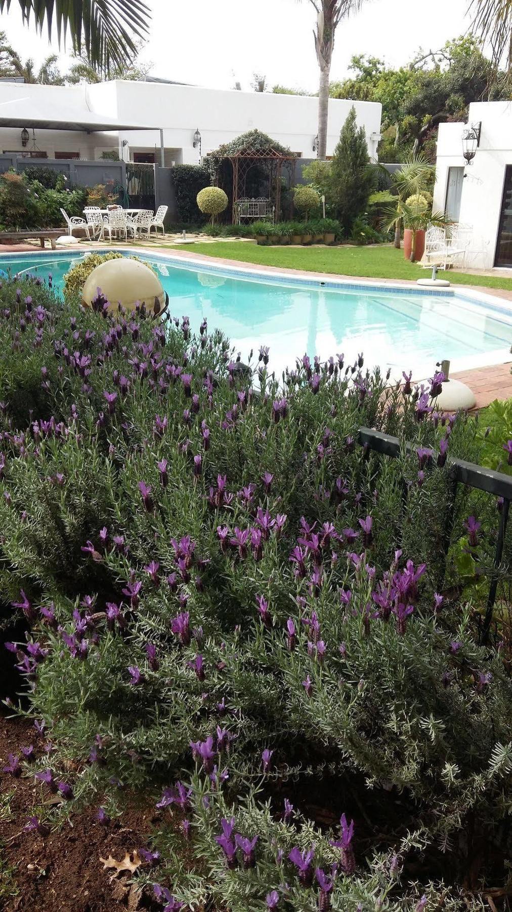 Cape Pillars Boutique Hotel Durbanville Εξωτερικό φωτογραφία